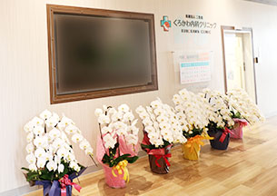 ループスライダー画像